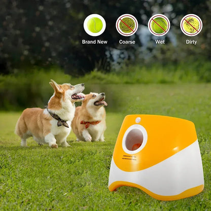 Dog Automatic Ball Launcher Interactive Toy